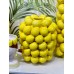 Ваза порцелянова Lemon 22x29см
