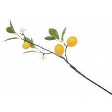 Декоративна гілка з суцвіттям та плодами Лимона, 46см