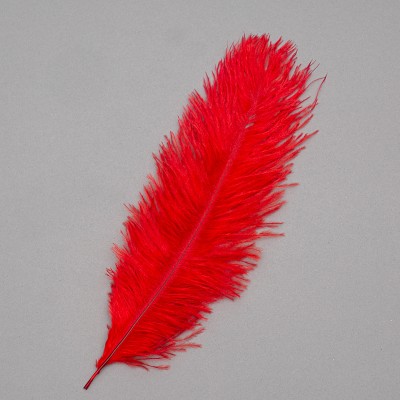 Страусине перо 25-30 см червоний (8501-002 / red)